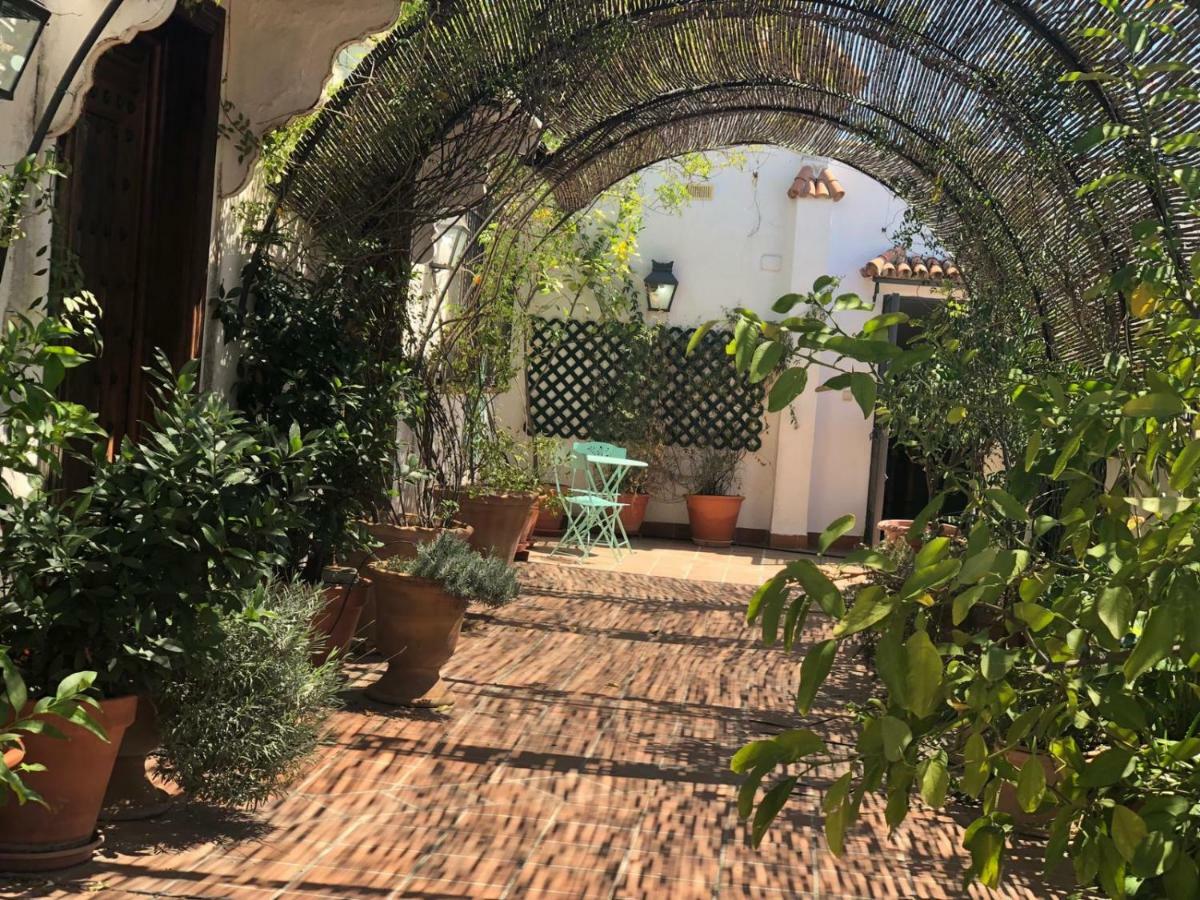 Cordoba Cool Vailima Lägenhet Exteriör bild