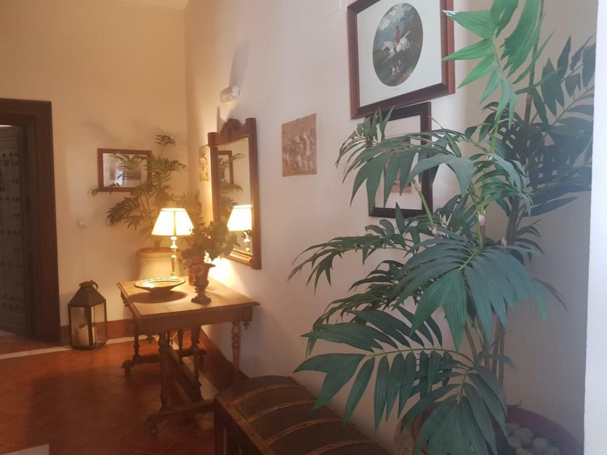 Cordoba Cool Vailima Lägenhet Exteriör bild